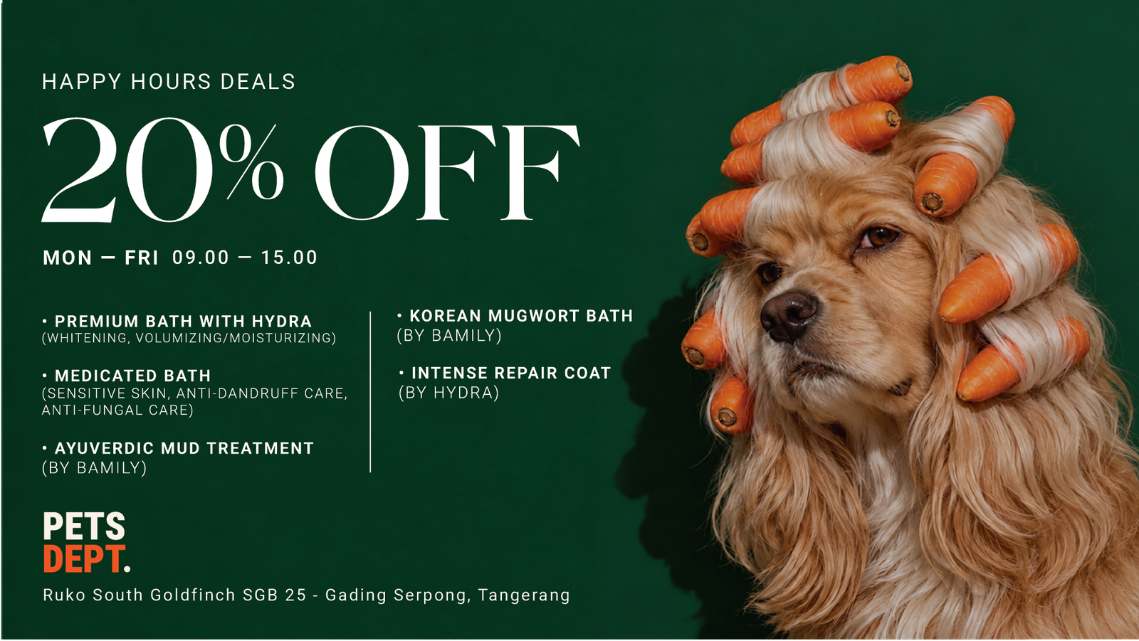 Promo grooming diskon 20% di petsdept